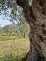 /album/galleria-foto-guarrelle/whatsapp-image-2025-10-12-at-15-24-18-jpeg/